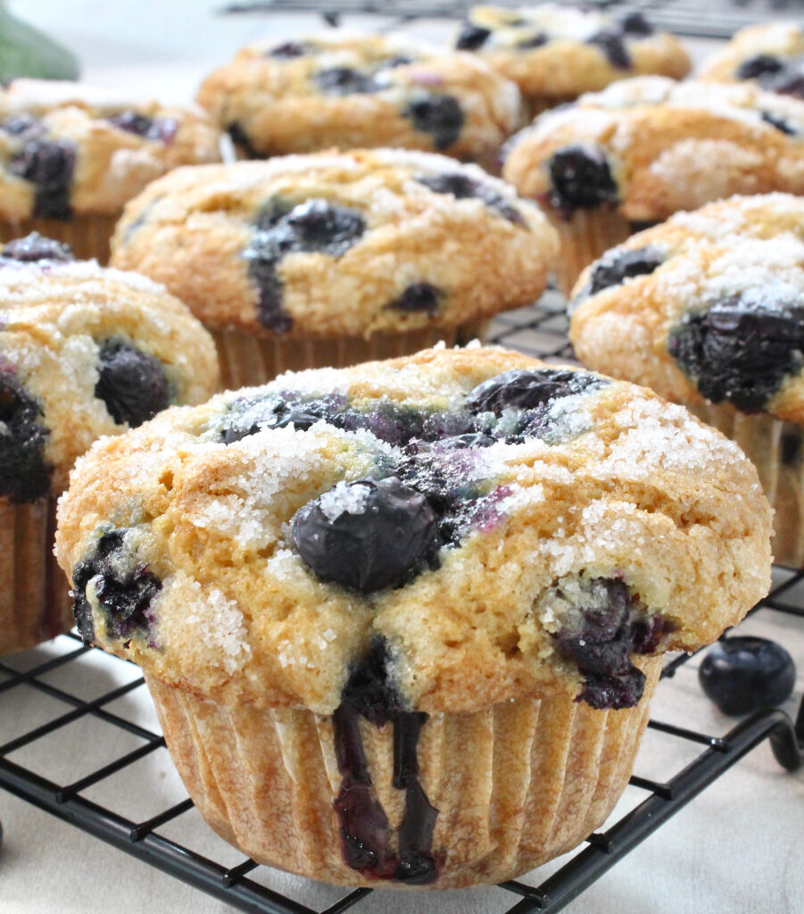 Muffin Top Blueberry  Muffins