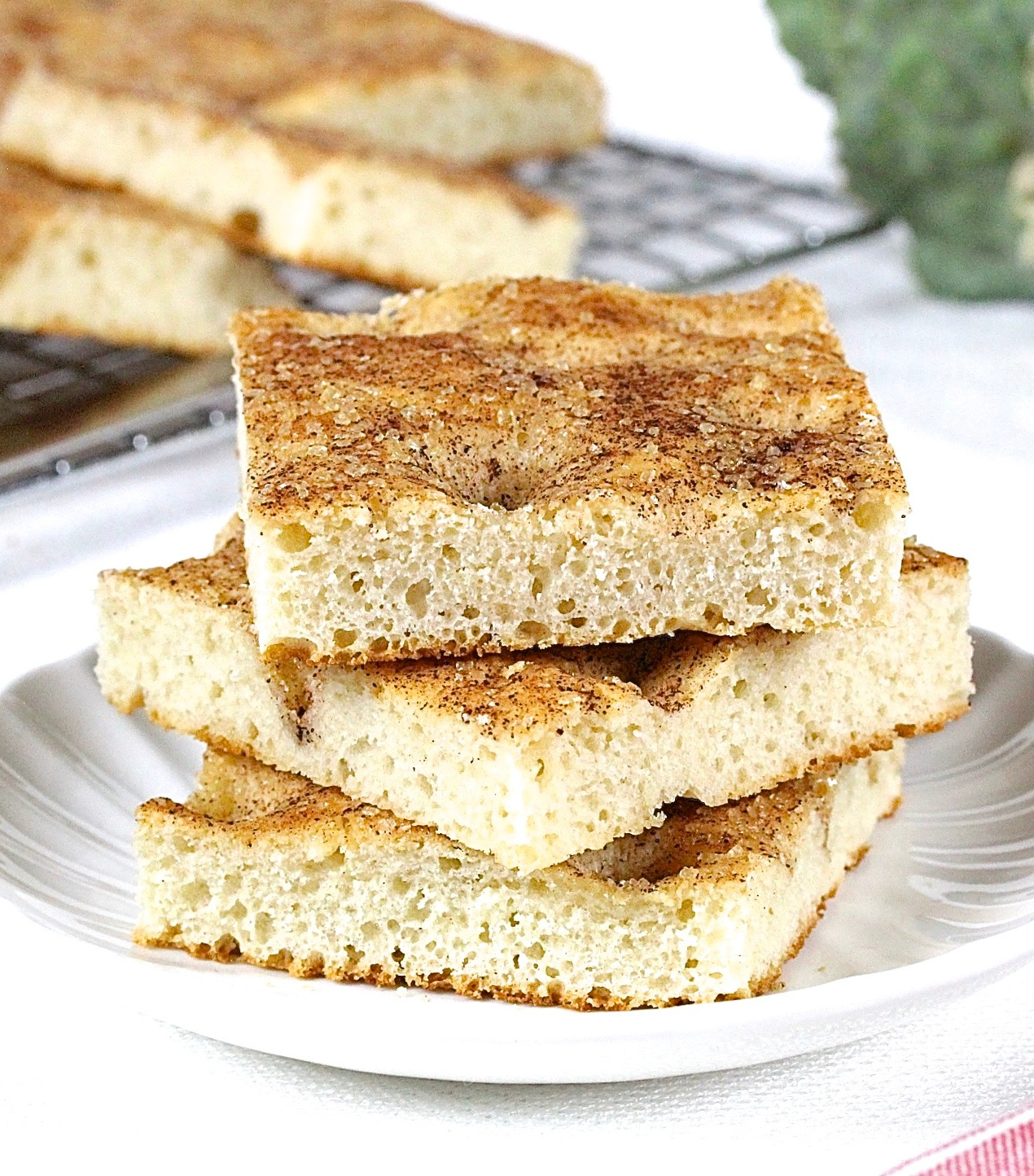 Quick Rise Cinnamon Sugar Focaccia