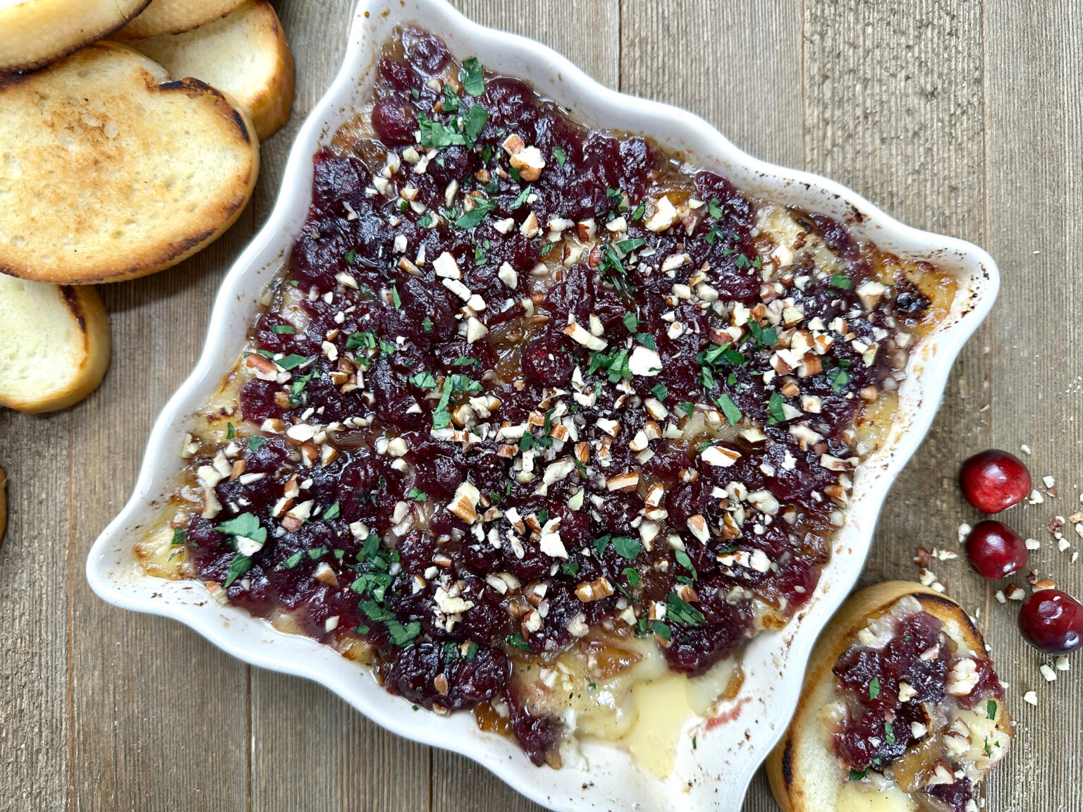 Brie Cranberry and Caramelized Onion Dip