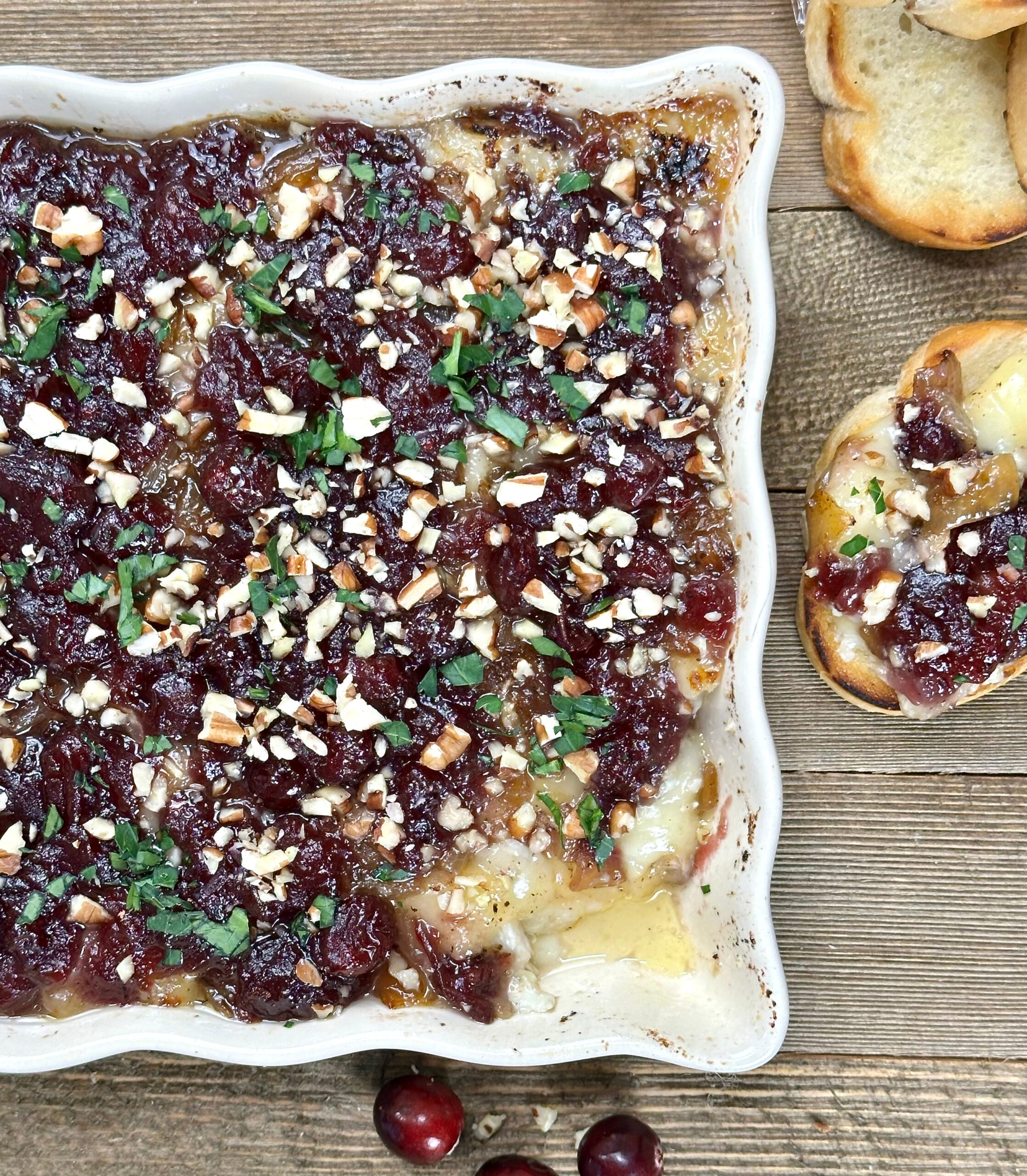 Brie Cranberry and Caramelized Onion Dip