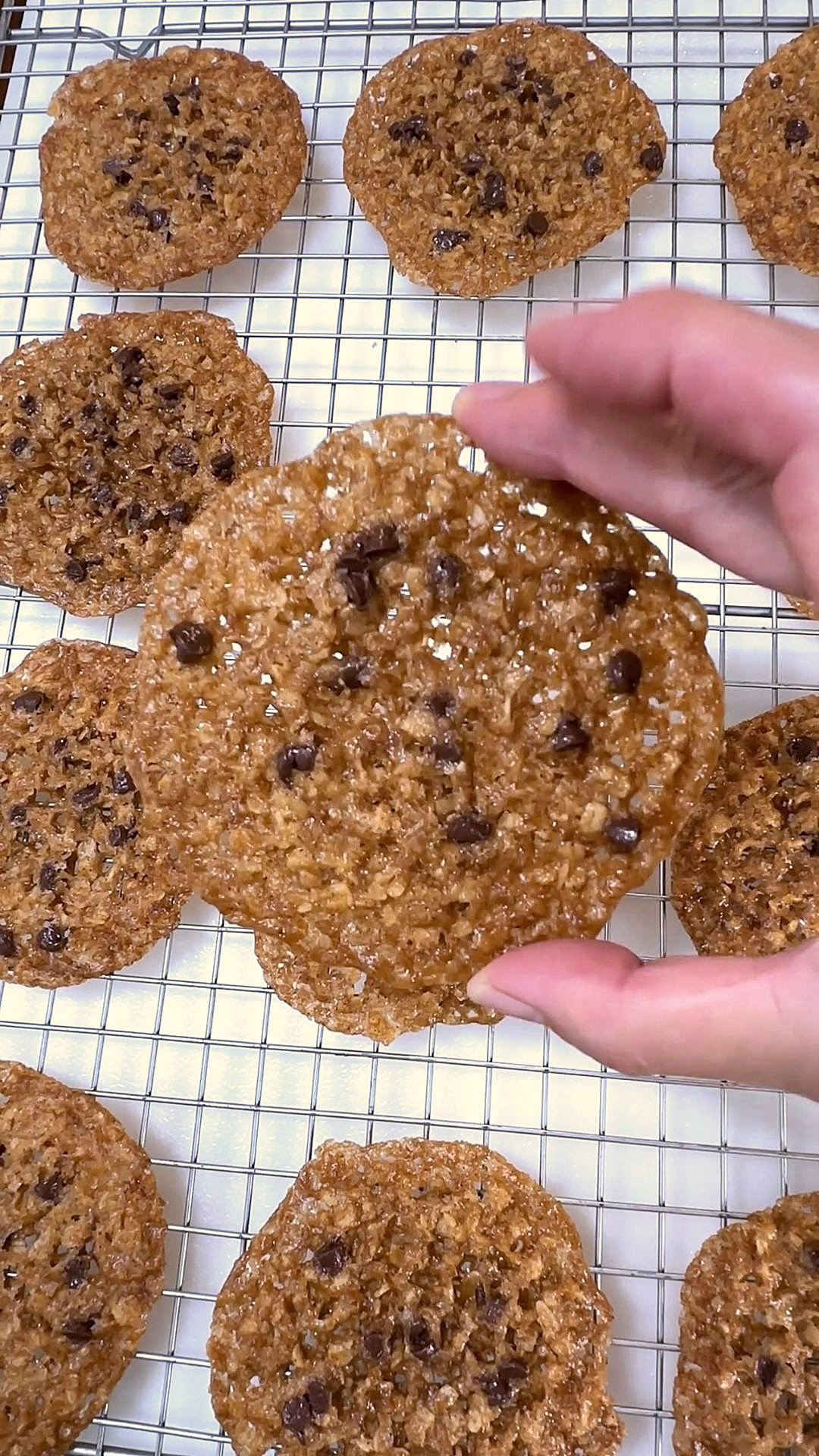 Pumpkin Lace Cookies with Chocolate Chips